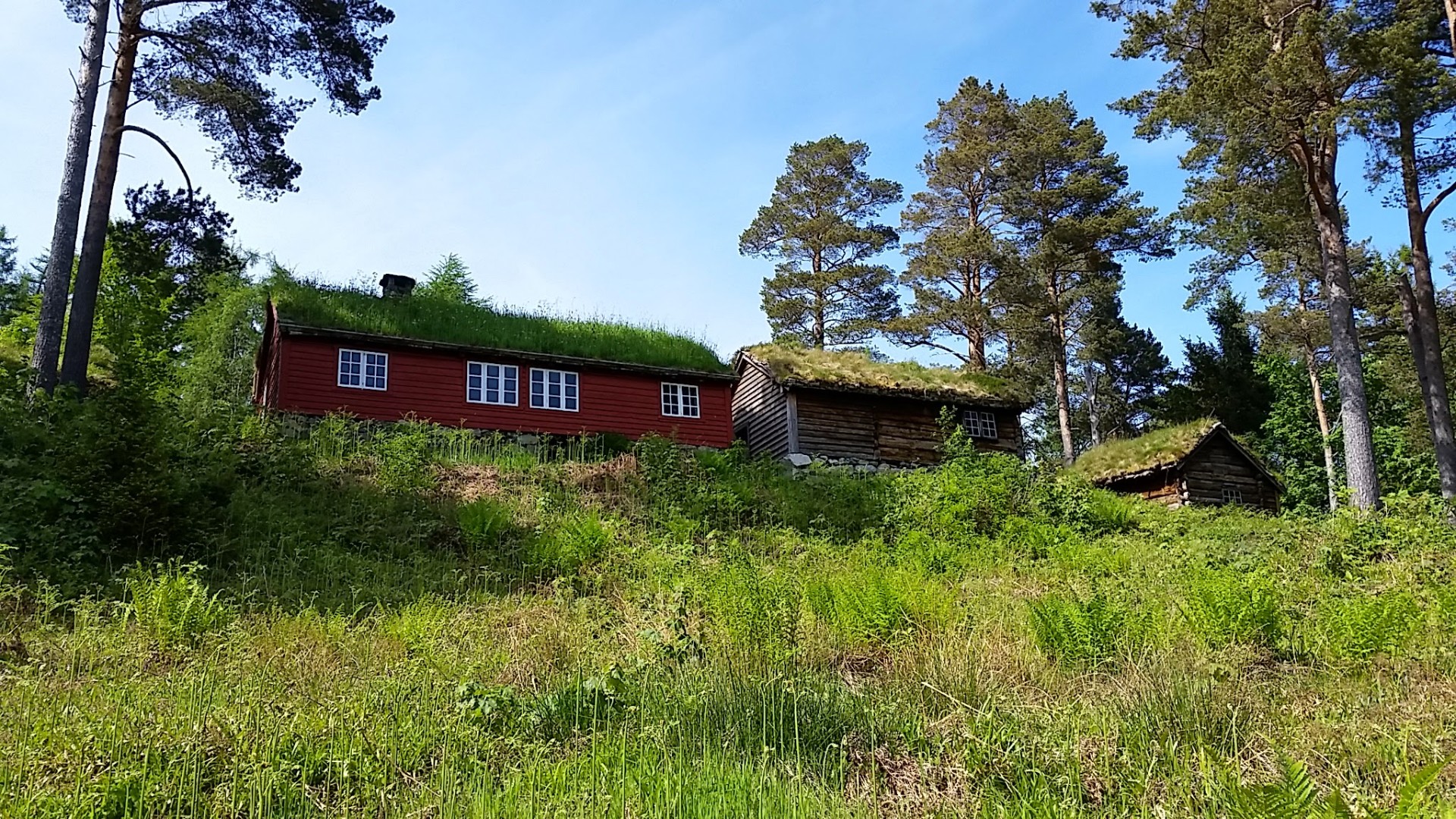 Red farmstead with sod roof in the woods