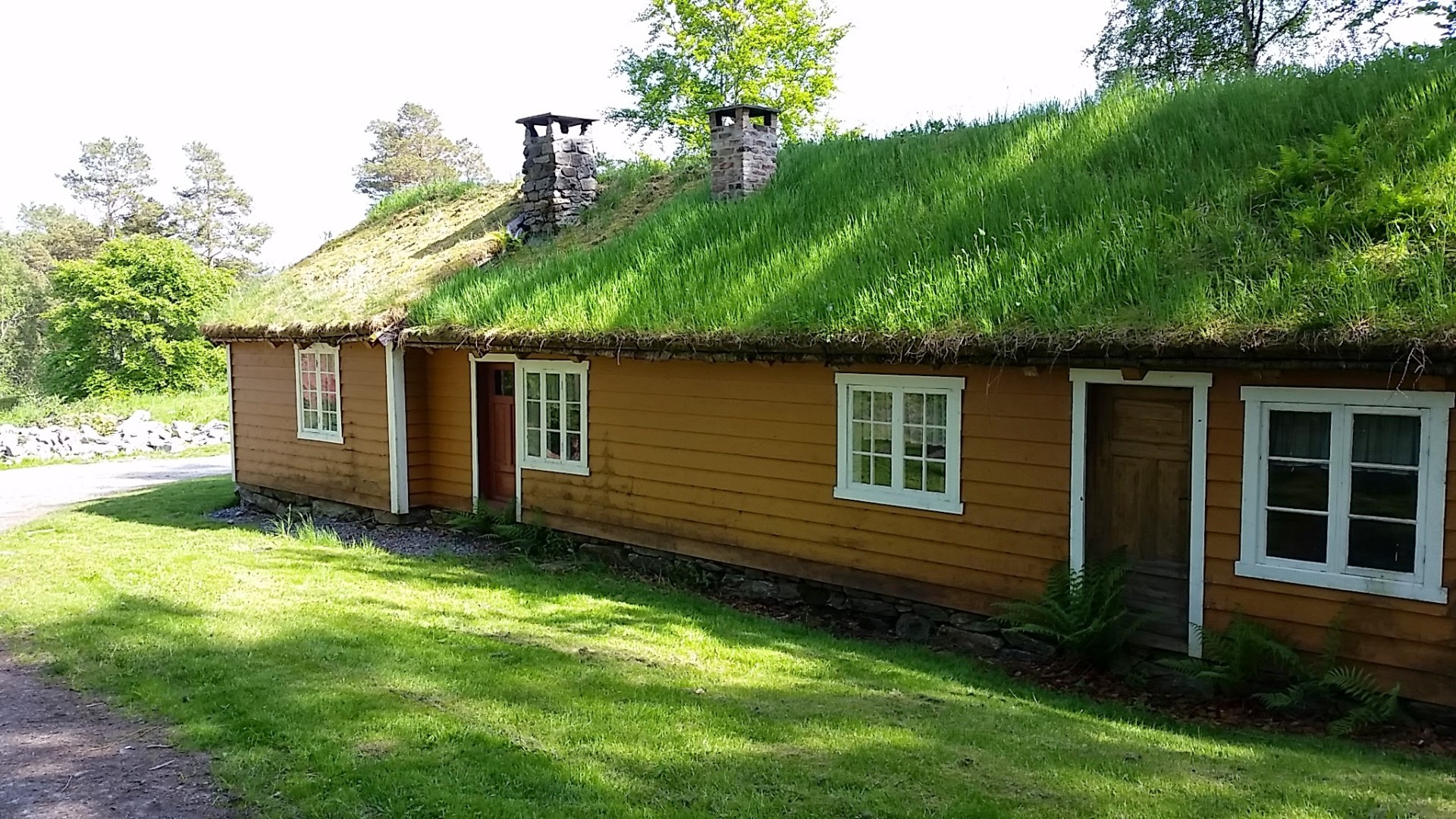 Yellow farmstead with sod roof and white window frames